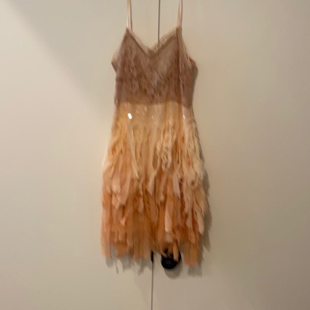 Free People Ombre Dress XS